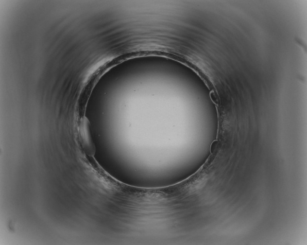 X0000098130979200804241645