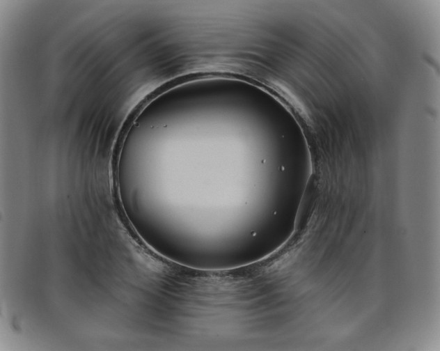 X0000098130980200804241645