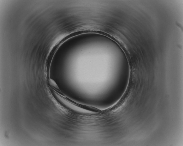 X0000098130981200804241645