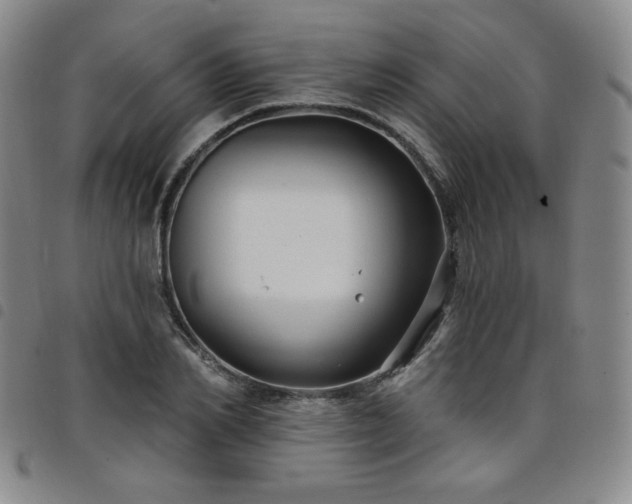 X0000098130982200804241645