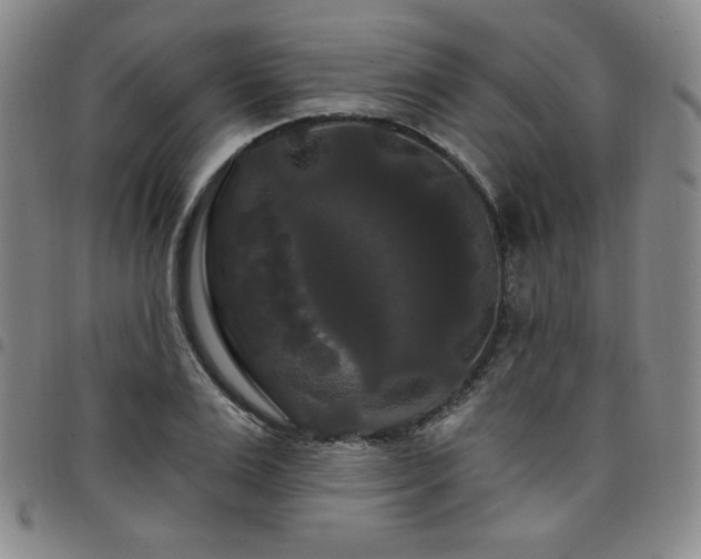 X0000098130983200804241645