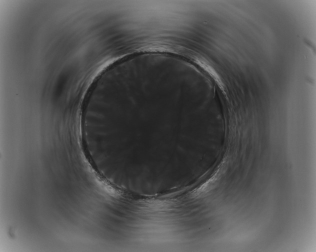 X0000098130984200804241645