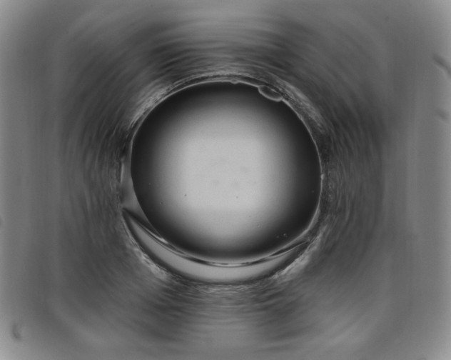 X0000098130985200804241645
