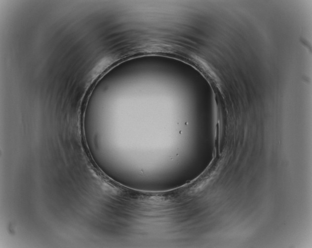 X0000098130986200804241645