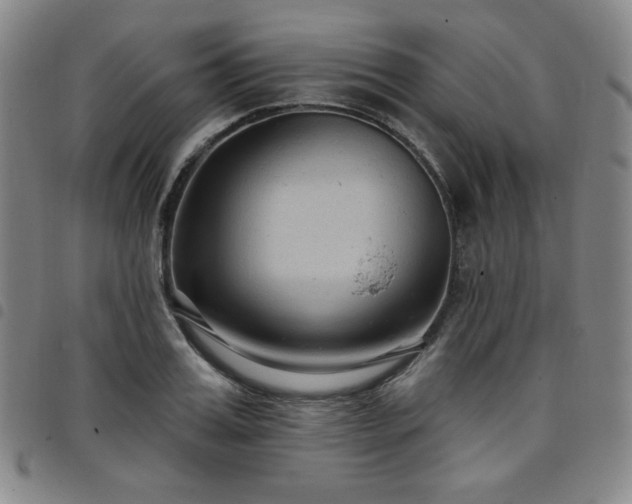X0000098130987200804241645