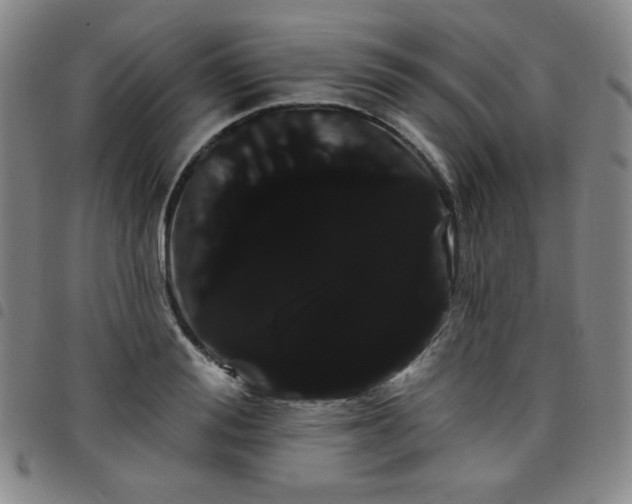 X0000098130988200804241645