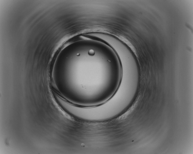 X0000098130989200804241645