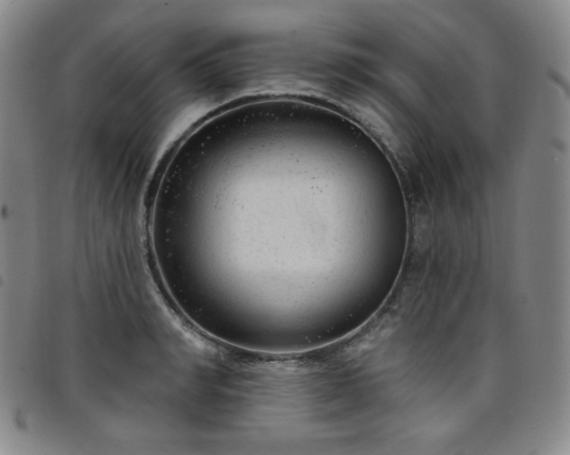 X0000098130990200804241645