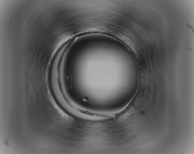 X0000098130991200804241645