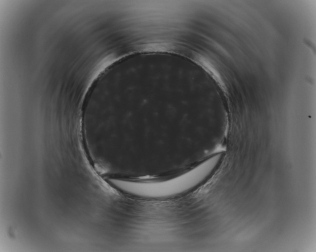 X0000098130992200804241645