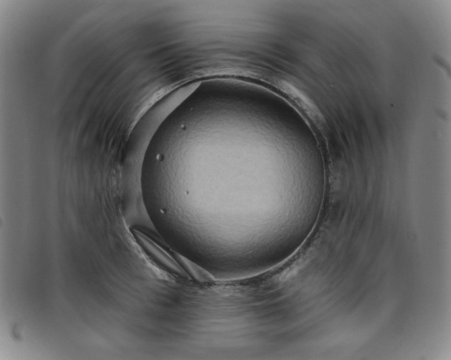 X0000098130993200804241645