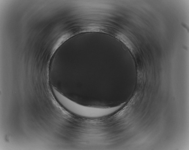 X0000098130994200804241645