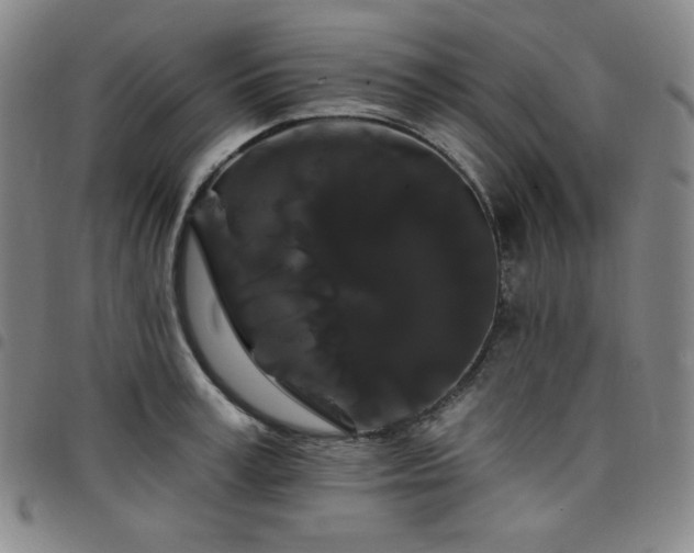 X0000098130995200804241645