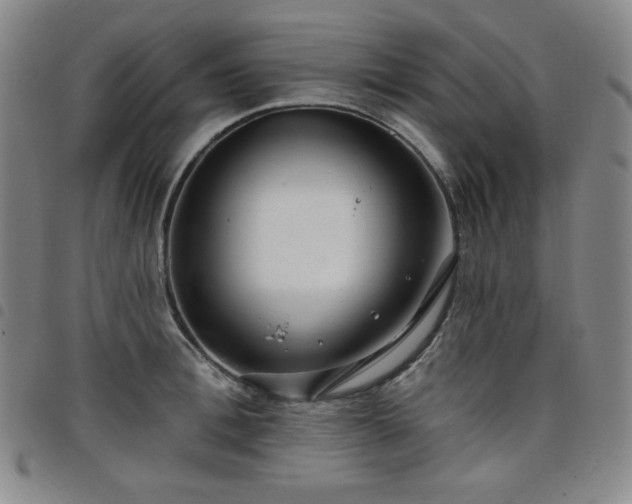 X0000098130996200804241645
