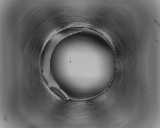 X0000098130997200804241645