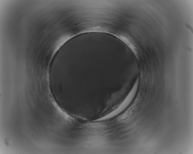 X0000098130998200804241645