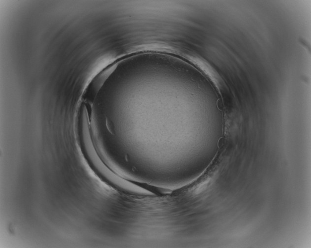 X0000098130999200804241645