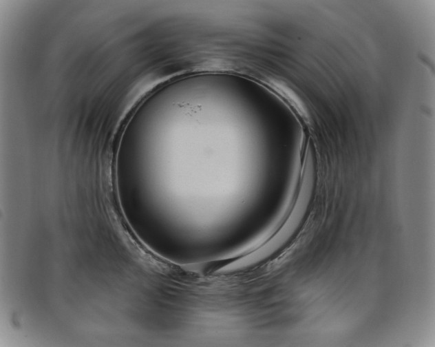 X0000098131000200804241645