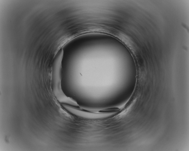 X0000098131001200804241645