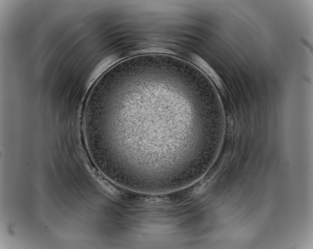 X0000098131002200804241645
