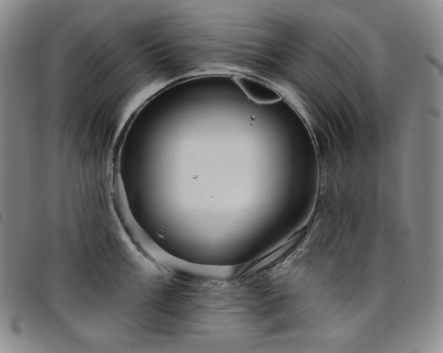 X0000098131003200804241645