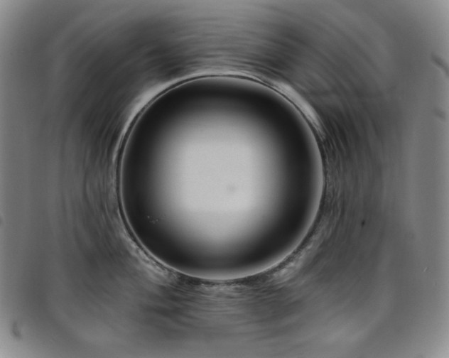 X0000098131004200804241645