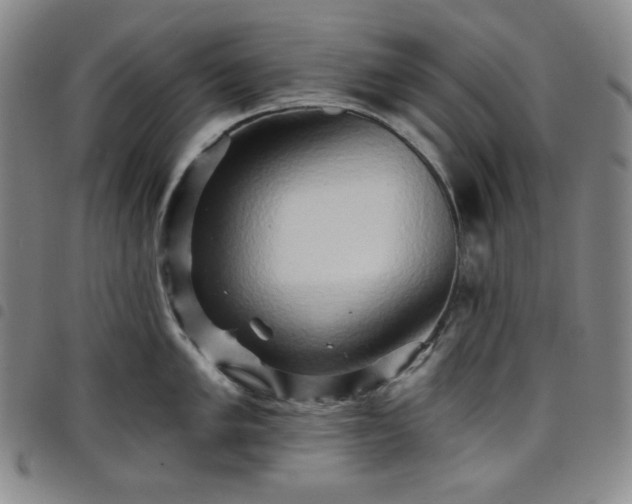 X0000098131005200804241645