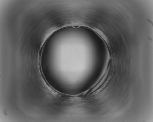 X0000098131006200804241645