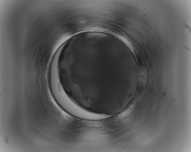 X0000098131007200804241645