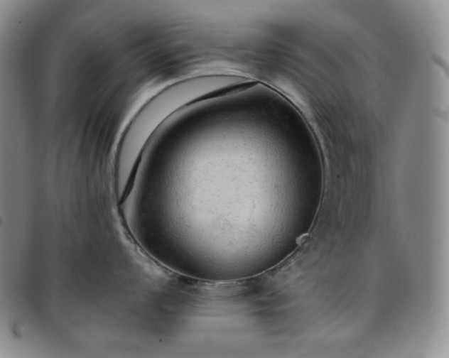 X0000098131008200804241645