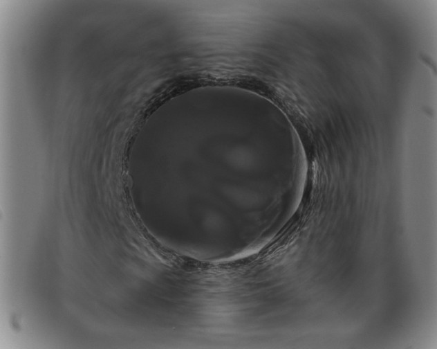 X0000098131009200804241644
