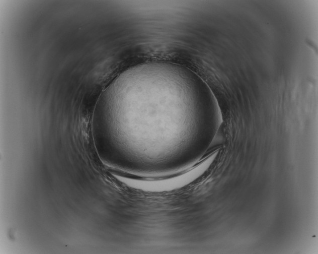 X0000098131010200804241644
