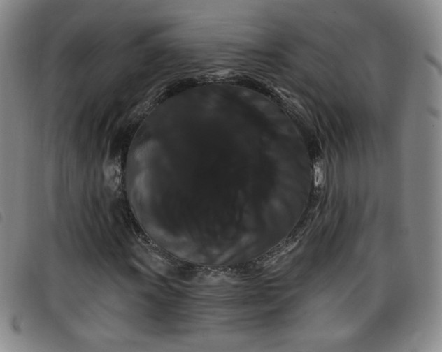 X0000098131011200804241644