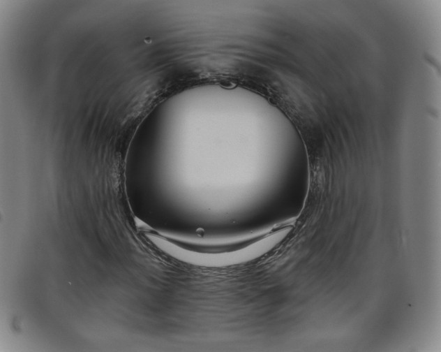 X0000098131012200804241644