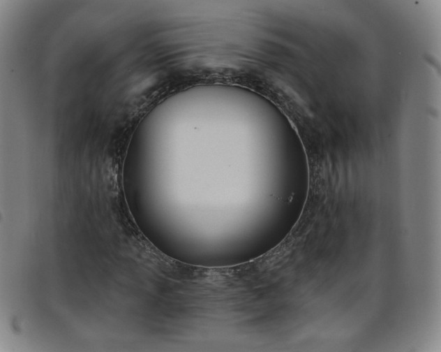X0000098131013200804241644