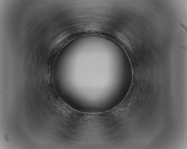 X0000098131015200804241644