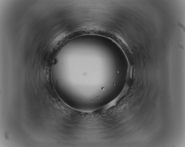 X0000098131016200804241644