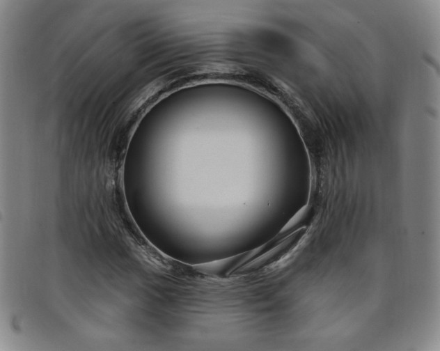 X0000098131017200804241644