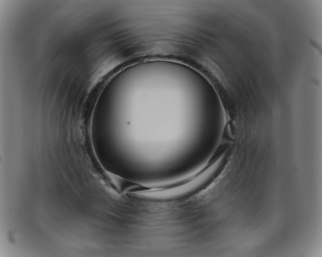 X0000098131018200804241644