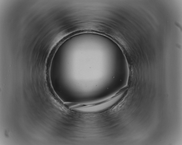 X0000098131020200804241644