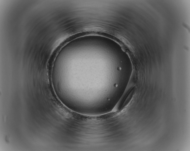 X0000098131022200804241644