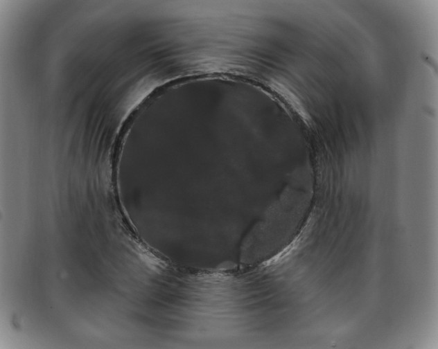 X0000098131023200804241644