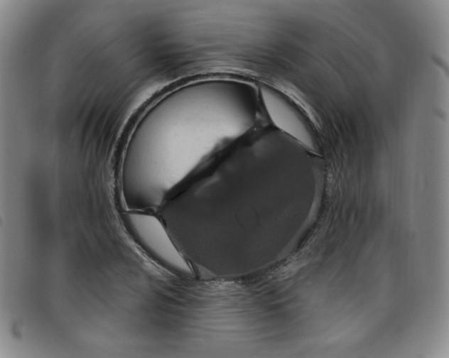 X0000098131024200804241644