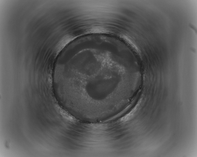 X0000098131025200804241644