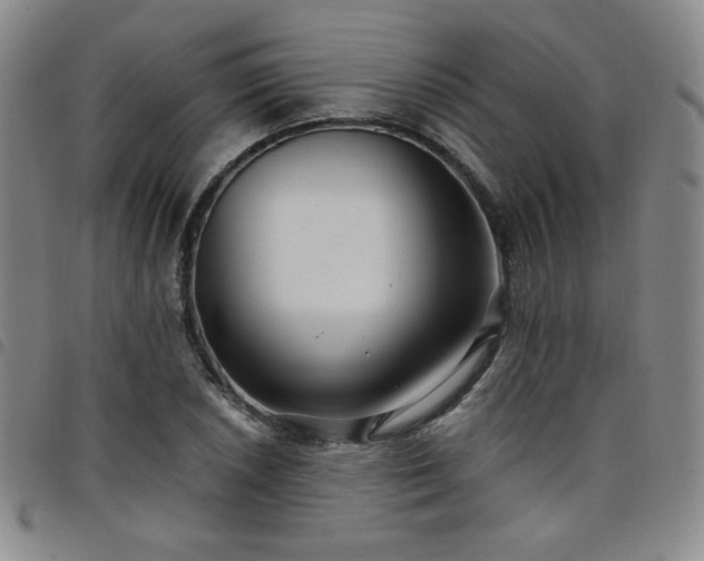 X0000098131026200804241644
