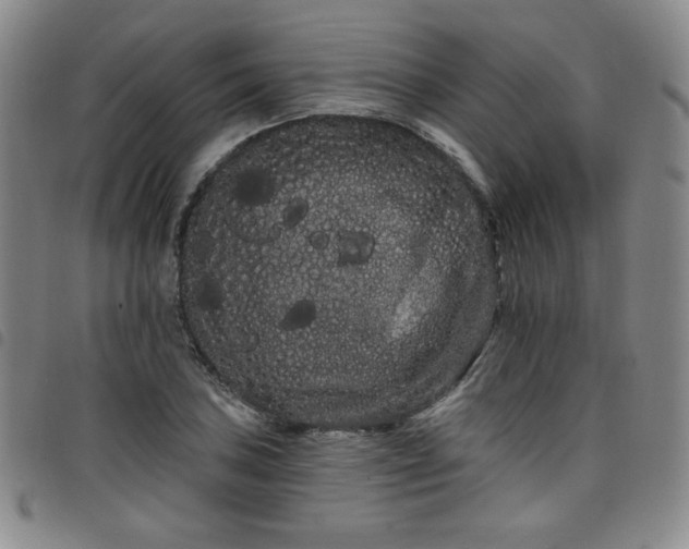 X0000098131027200804241644