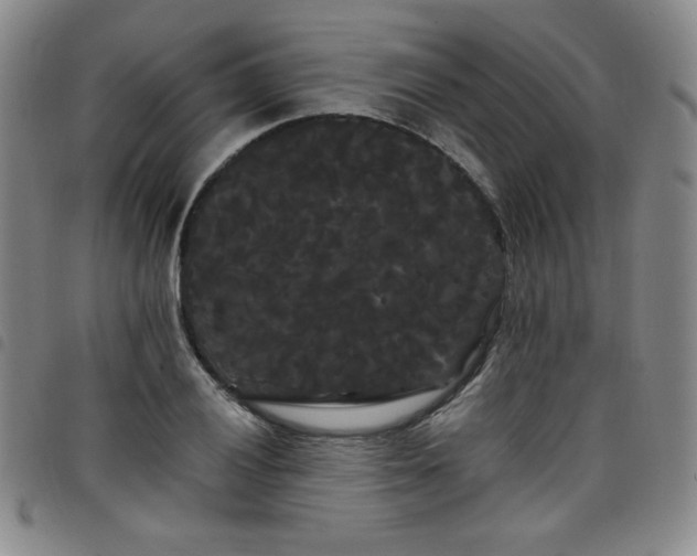 X0000098131028200804241644