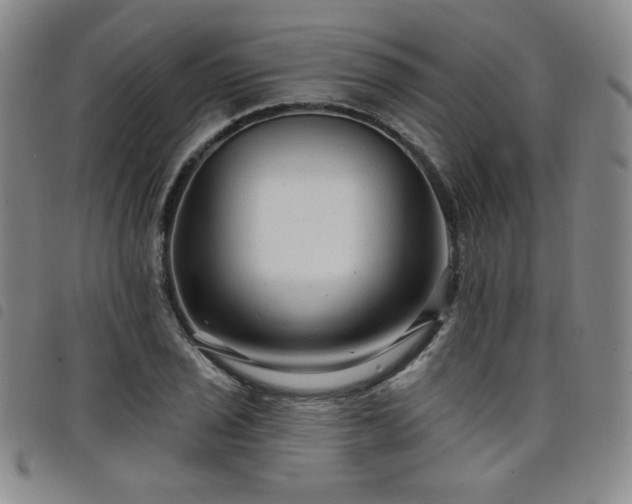 X0000098131029200804241644
