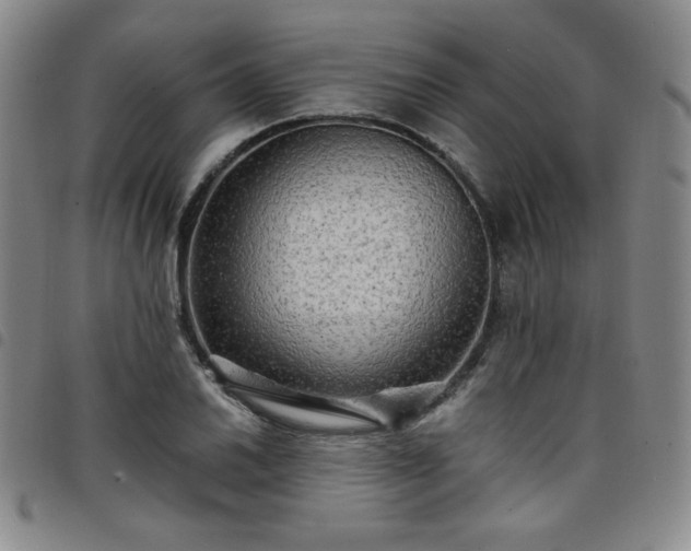X0000098131030200804241644