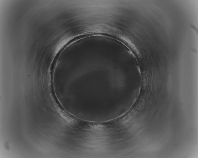 X0000098131031200804241644